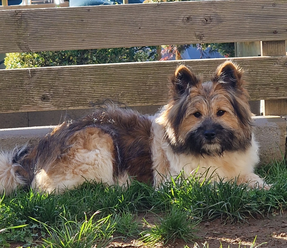 Quilla von der Murgtalschlucht